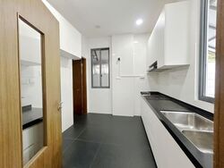 Ponggol Twenty-fourth Avenue (D19), Detached #568874151